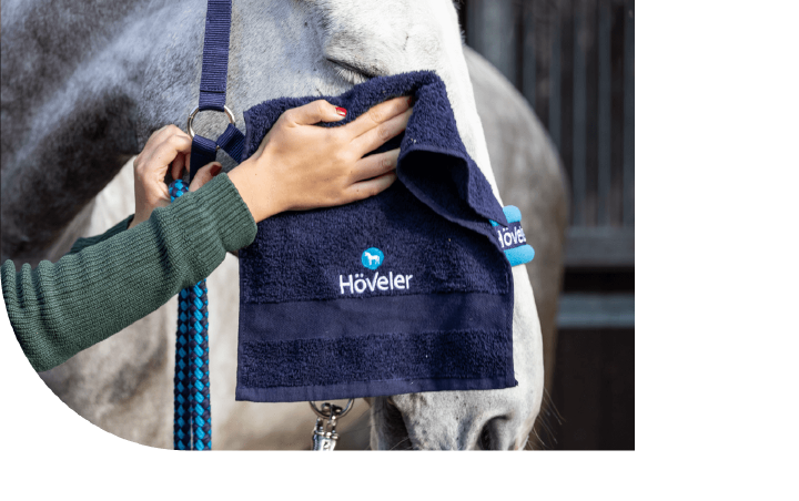 teaser newsletter hoeveler fehler teaser newsletter hoeveler fehler